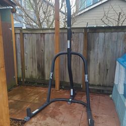 Everlast Dual Bag and Stand

