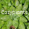 Cozyplants
