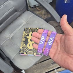 Vip Ticket Sunday Only 