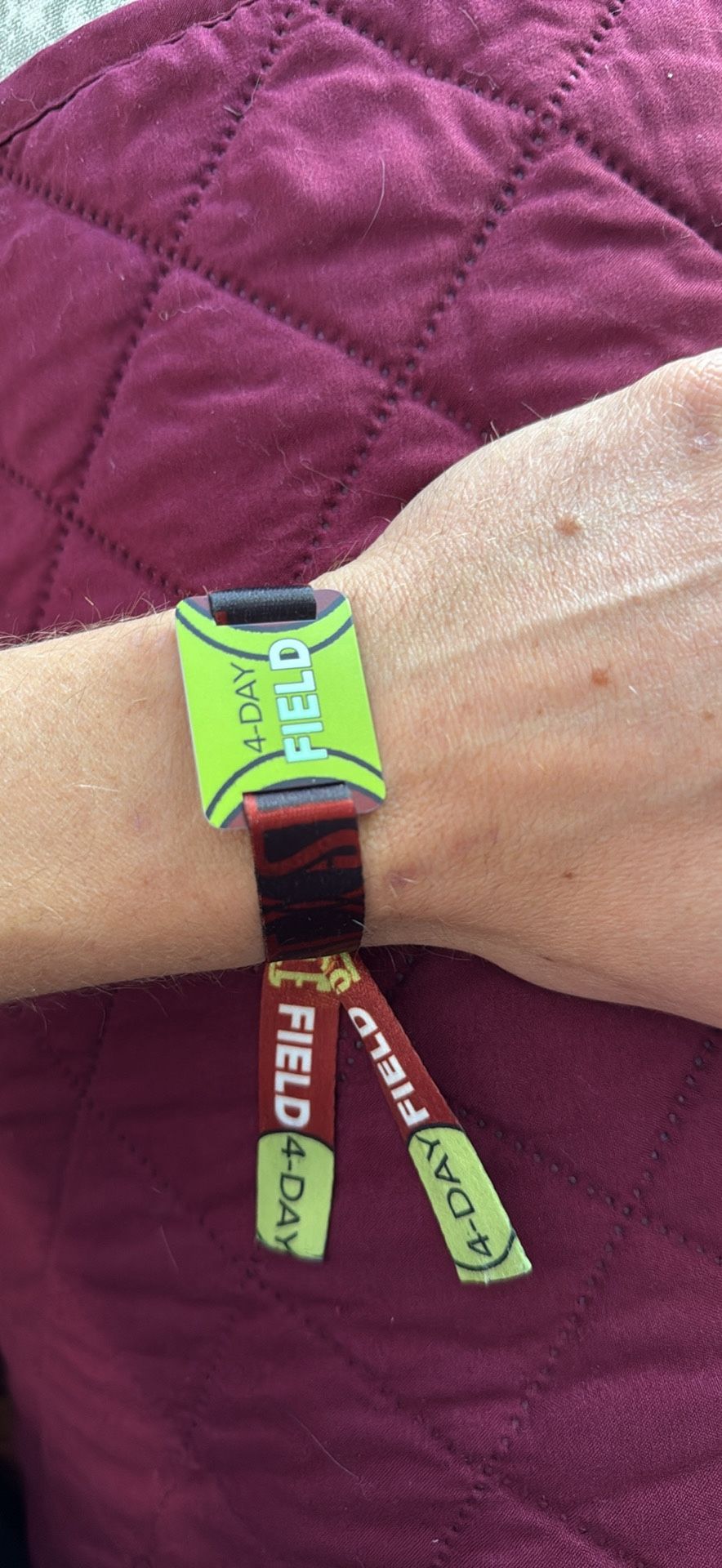 Sonic Temple Field Pass