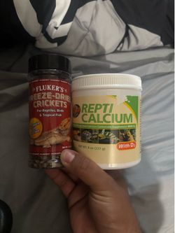 Bearded dragon treats/ reptile calcium