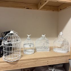 Cages For Party Decor 