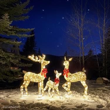 New 3-Piece Lighted Christmas Deer Set Outdoor Decor with LED Lights