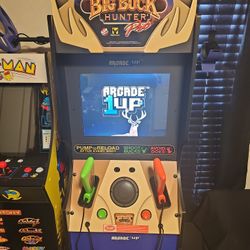Arcade Big Buck 