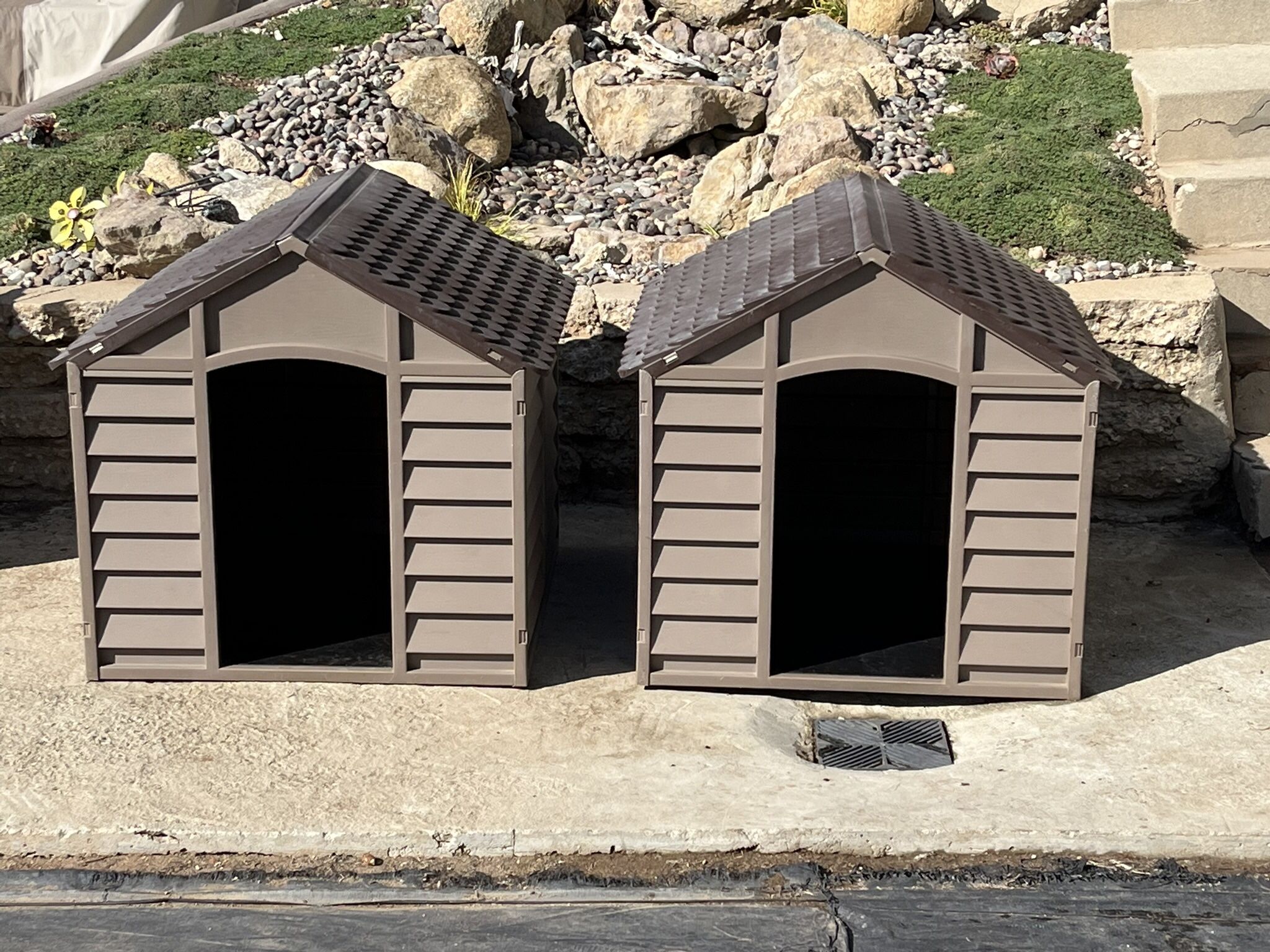 Dog House 