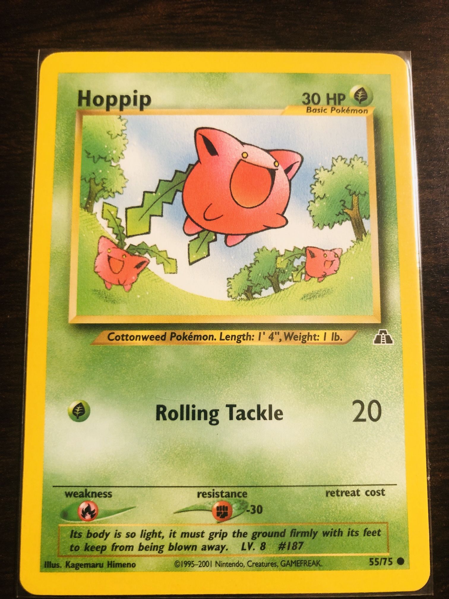 Pokémon Card (Hoppip)