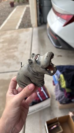 Hippo lover?