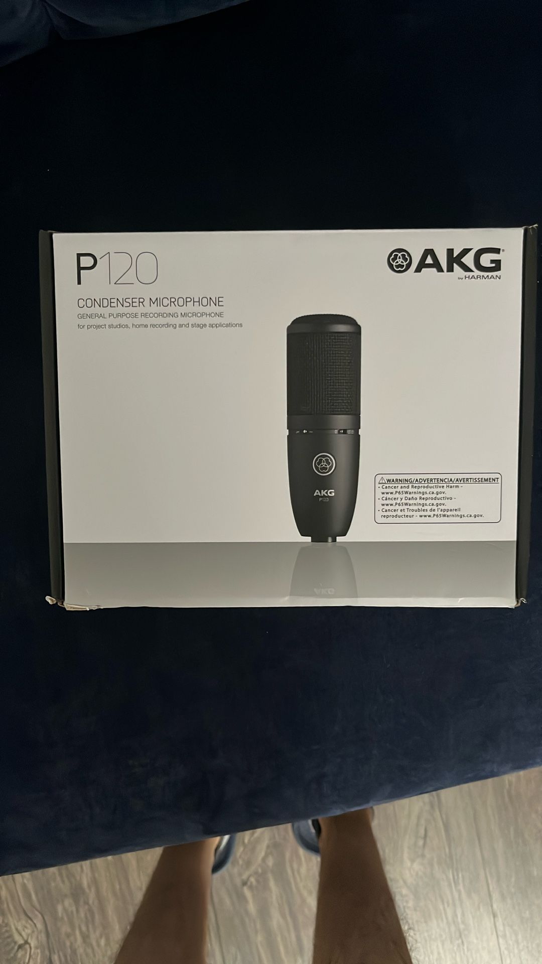 AKG P120 With XLR Cable