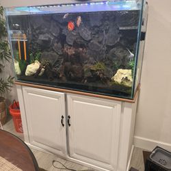Custom 90 Gallon Fish Tank