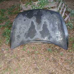  Nissan Maxima. Hood.