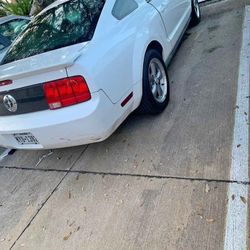 Mustang Deluxe 2008 Manual Clean Title 