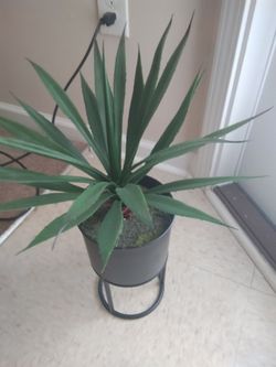 Decorative fake plant
