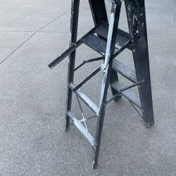 4ft Ladder