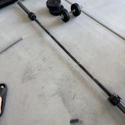 45lb Barbell 