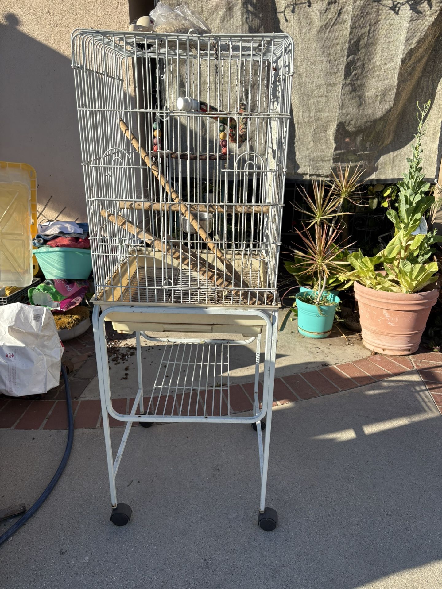 Bird Cage 