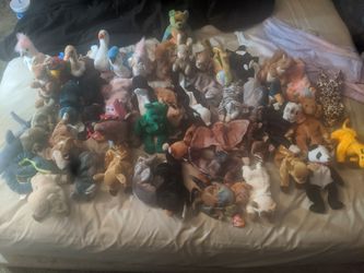Beanie babies lot