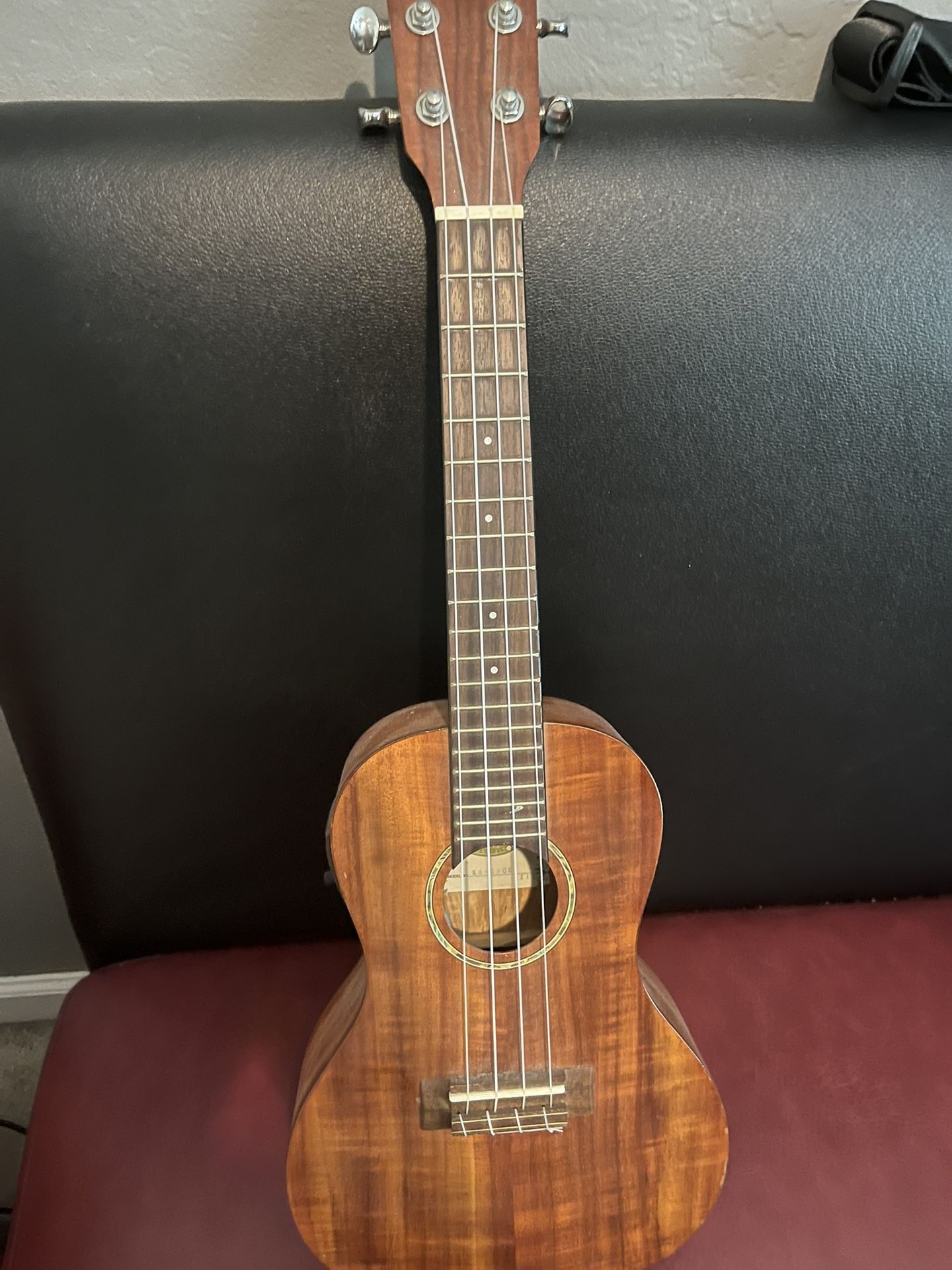 Kala Ukulele (acoustic electric)