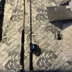 2 Spinning Rods And 1  Reel For Sale