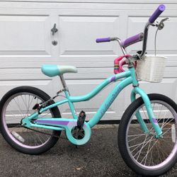 Schwinn Kids Bike