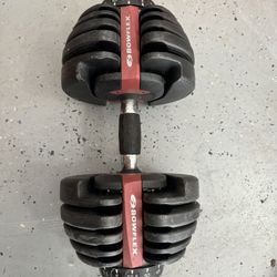 Blowflex Dumbbell 