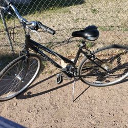 Trek Bike