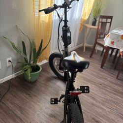 Electric Bike 