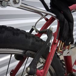 Gary Fisher Bike