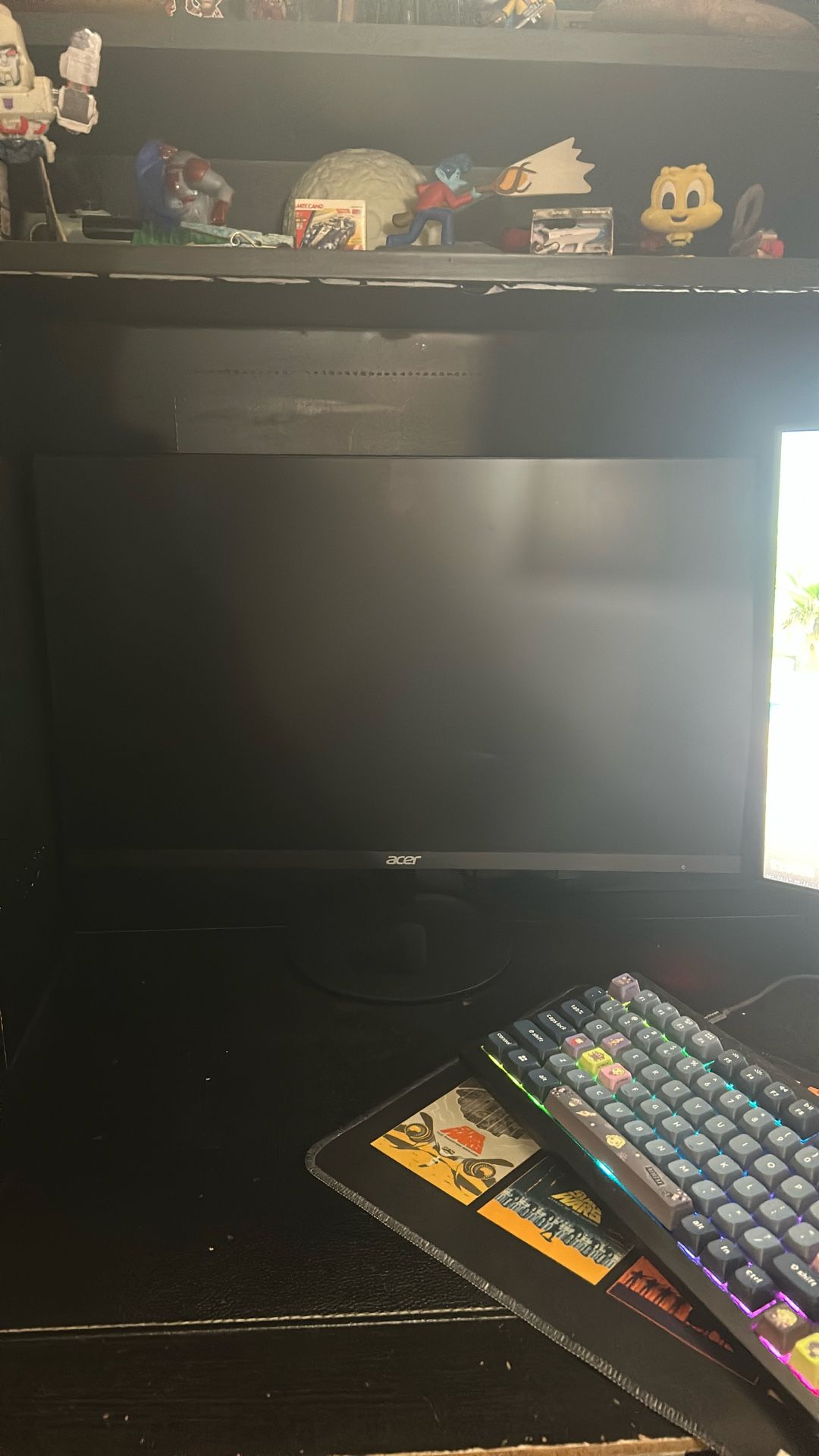 Acer Monitor