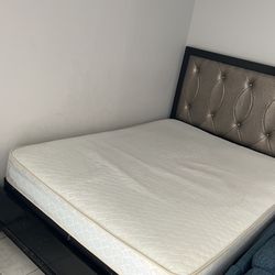 Bed, Box Spring And Bed Frame