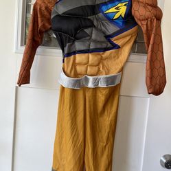 used costumes 