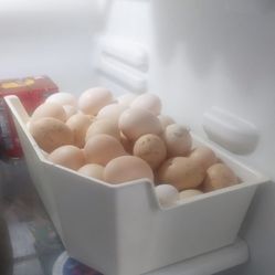 Organic Eggs  Huevos De Rancho 