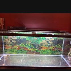 75 Gallon Marine Land Fish Tank With Fluval 110 Gallon Fluval Filter Mint Condition!