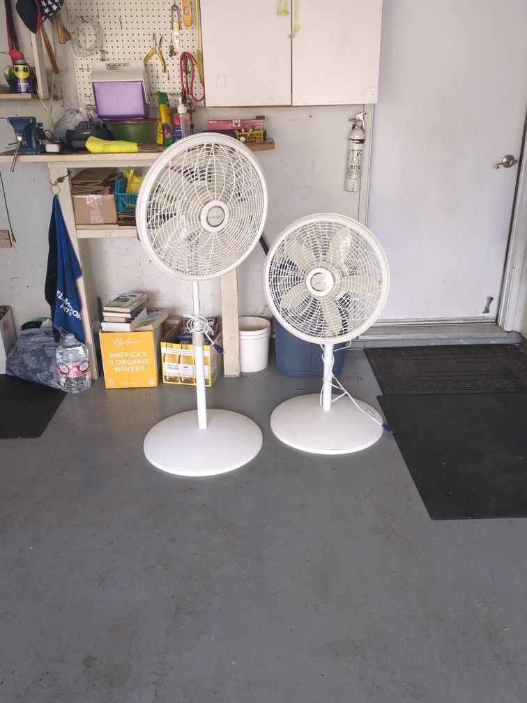 Lasko Standing Fans