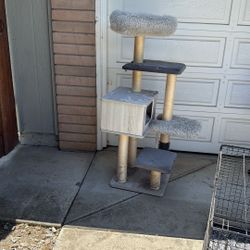 Cat House