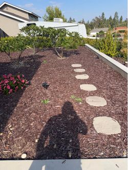 Free clean soil free delivery