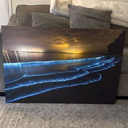 Ocean Canvas Print
