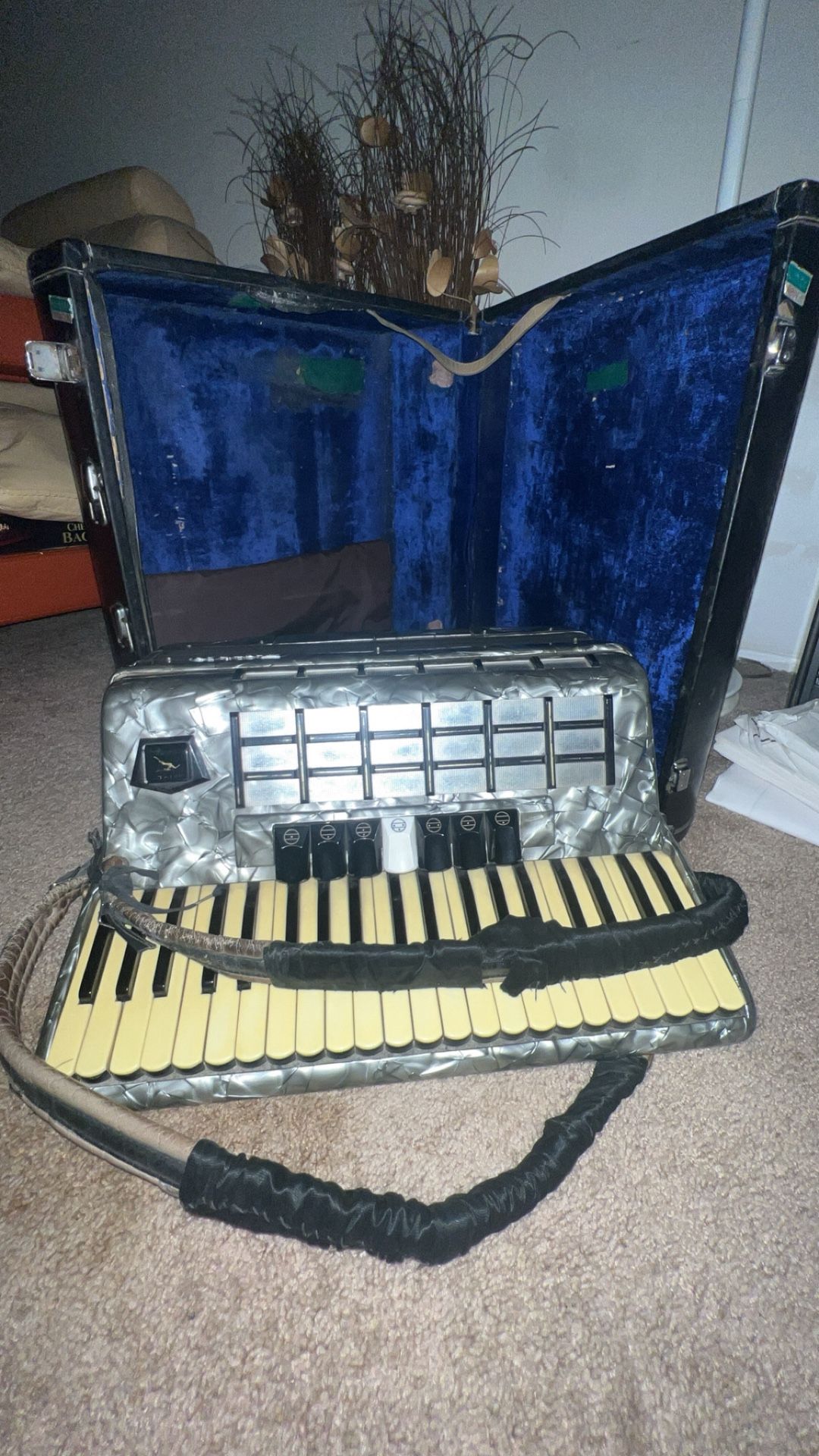 Baile 120-Base Piano Accordion w/ Case