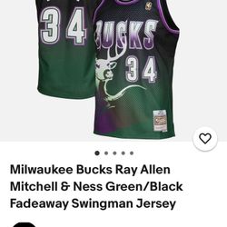 Ray Allen Mitchell & Ness Jersey