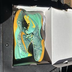 Kobe 8 System Size 12