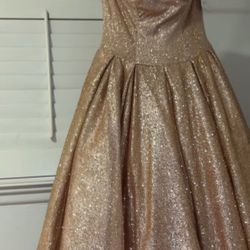 Quinceañera Dress 