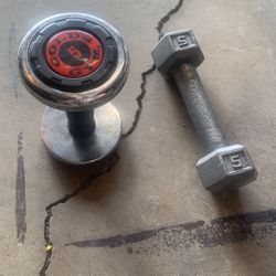 5lb Dumbbells