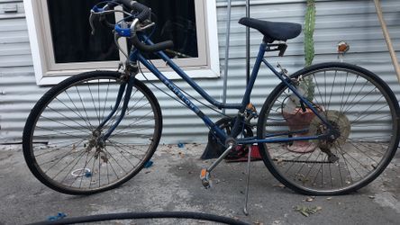 Adult bike