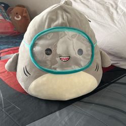 Stuffed Toys 
