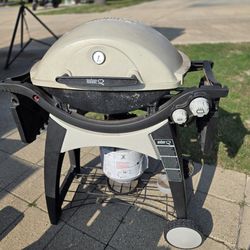 Weber Q