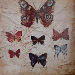 Set Of Matching Butterfly Pictures In Glass Frame