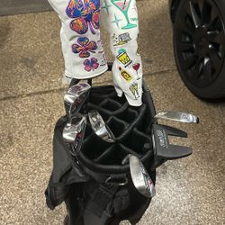 Women’s Golf Clubs Tour Precision Brand New Set Includes Two Woods, Five Irons And A Putter And A Brand New Bag