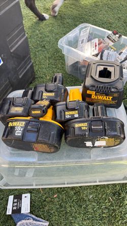 DeWalt Battery Pack Lot with Charger