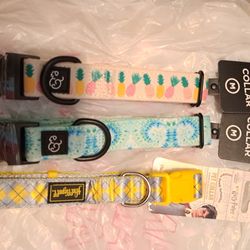 3 New Dog Collars