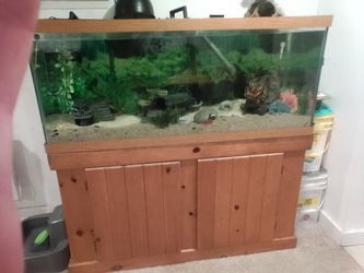 75 Gallon Aquarium Stand & Accessories