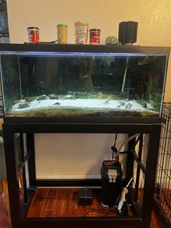 50 gallons aquarium with stand fishes(Kribensis Corydor)filter (fluval 207) hygger air pump,heater